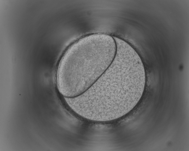 X0000094220632200711241722