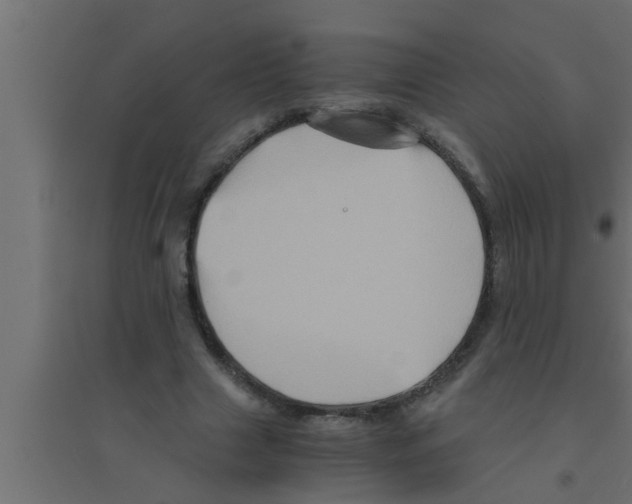 X0000094220633200711241722