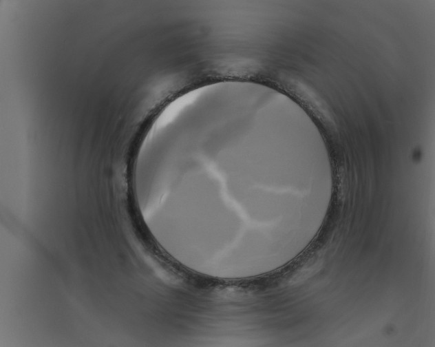 X0000094220634200711241722