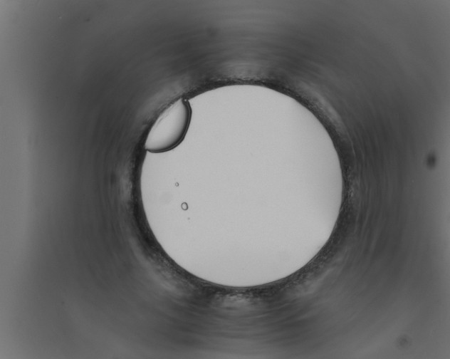 X0000094220635200711241722