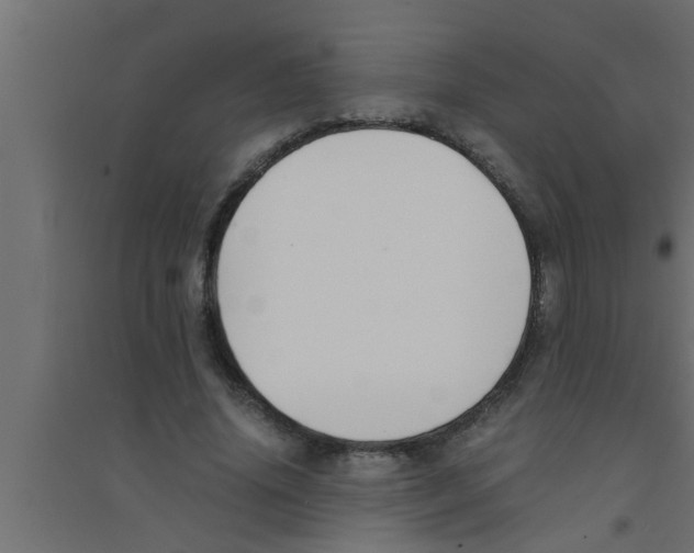 X0000094220636200711241722