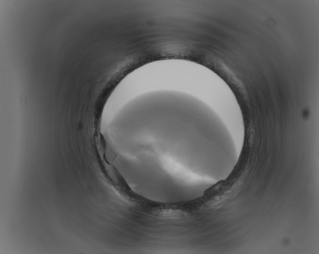 X0000094220637200711241722