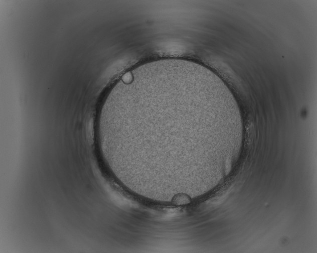 X0000094220638200711241722