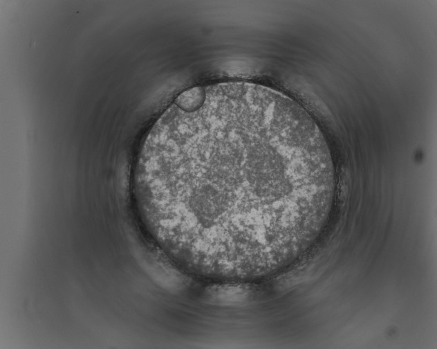 X0000094220639200711241722