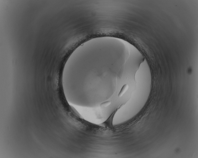 X0000094220640200711241722