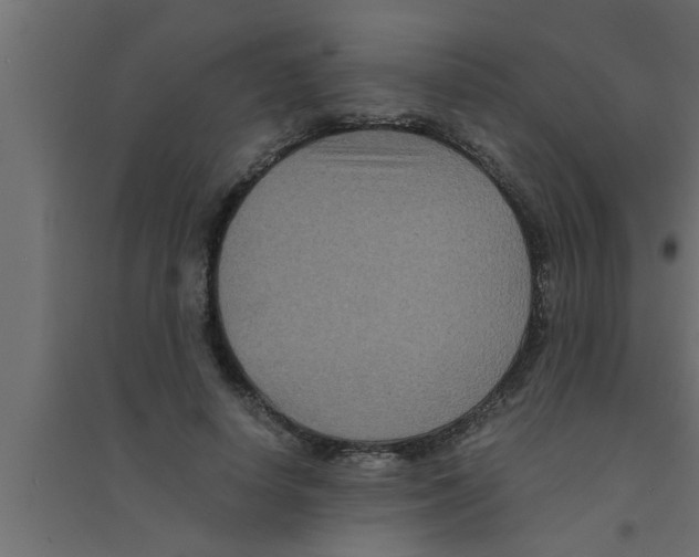 X0000094220642200711241722