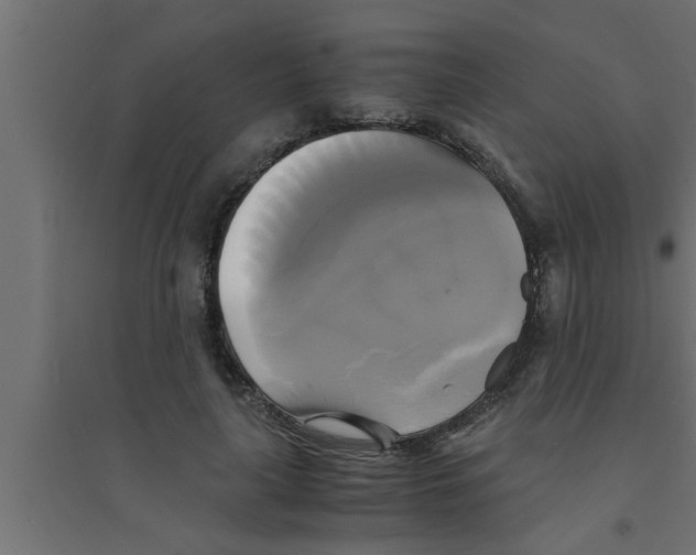 X0000094220643200711241722