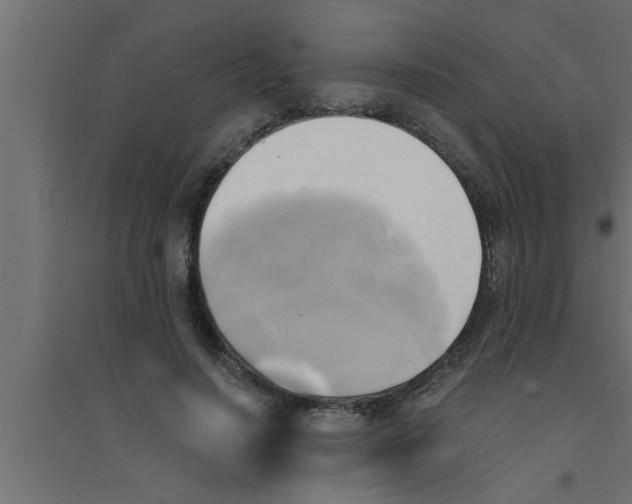 X0000094220644200711241722