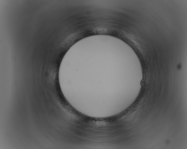 X0000094220645200711241722