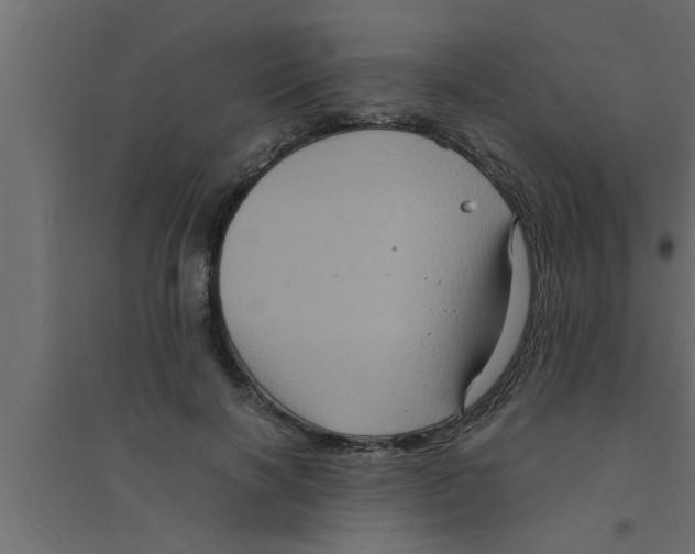 X0000094220646200711241722