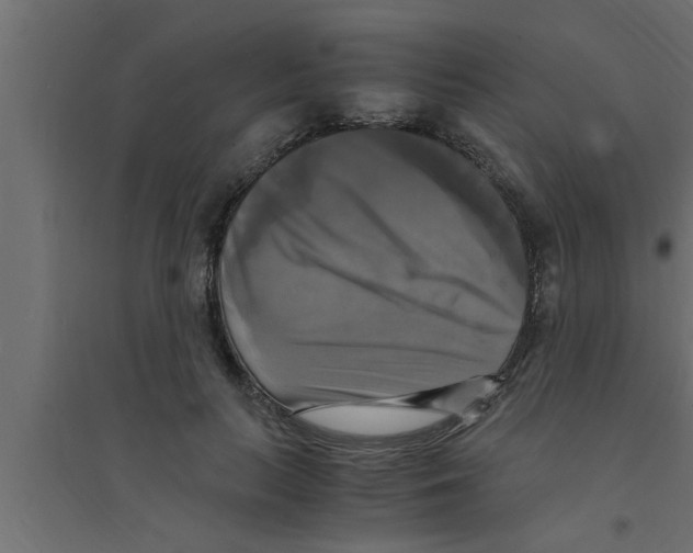 X0000094220647200711241722