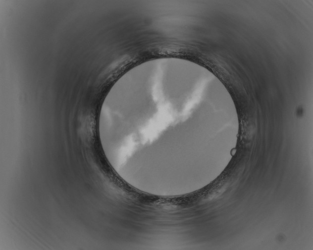 X0000094220648200711241723