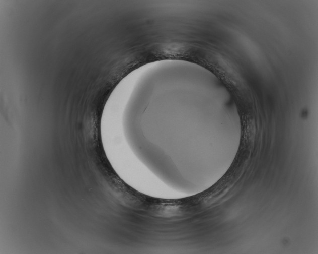 X0000094220651200711241723