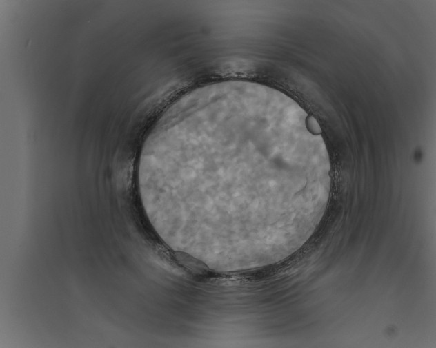 X0000094220652200711241723