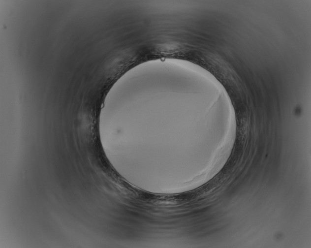 X0000094220653200711241723