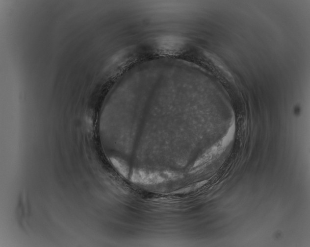 X0000094220655200711241723