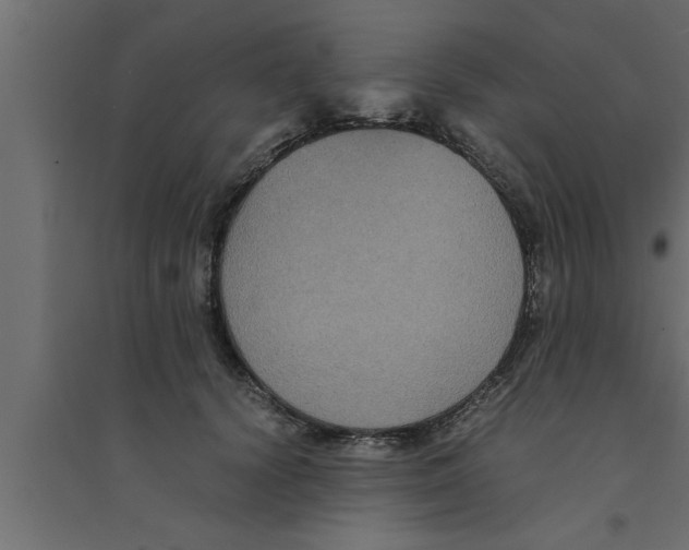 X0000094220656200711241723