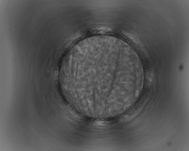 X0000094220657200711241723