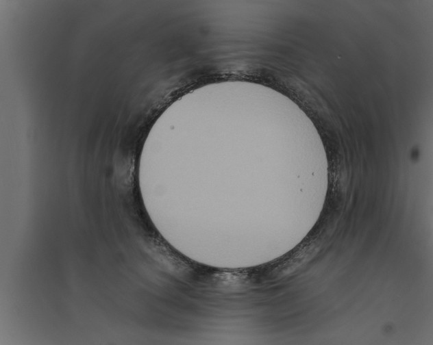 X0000094220660200711241723