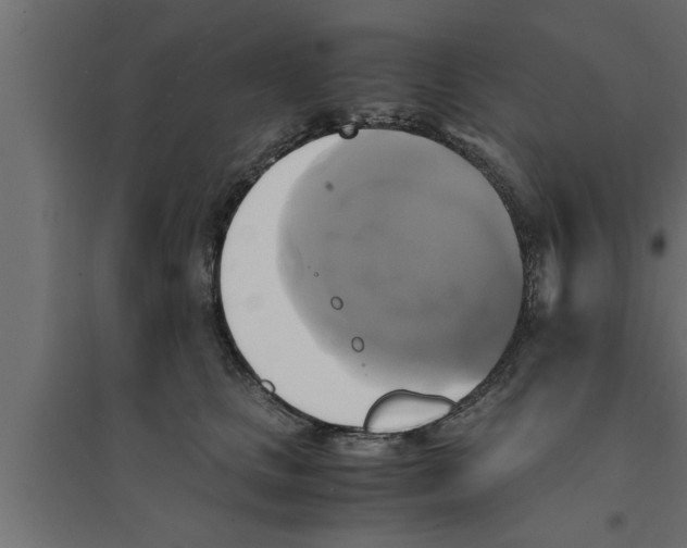 X0000094220661200711241723