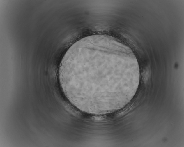 X0000094220662200711241723