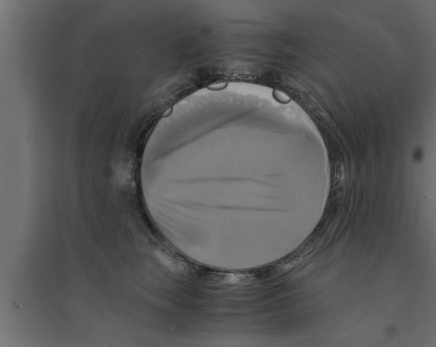 X0000094220663200711241723