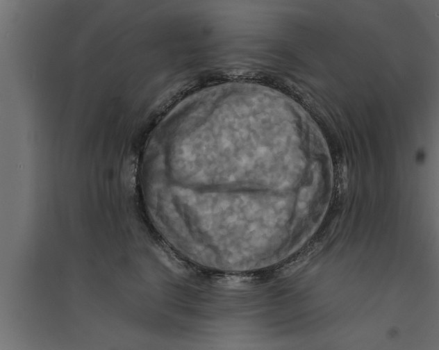 X0000094220664200711241723