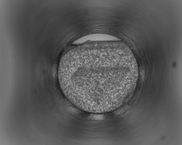 X0000094220665200711241723