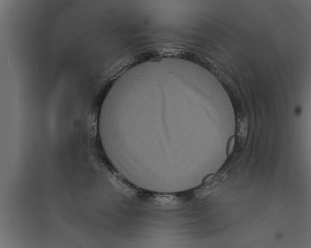 X0000094220666200711241723