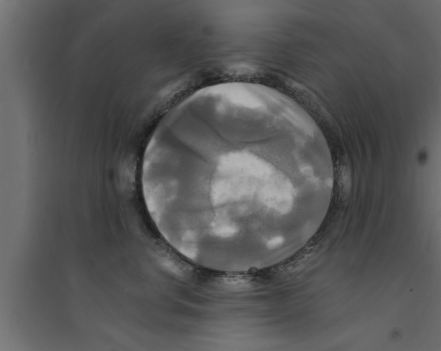 X0000094220668200711241723