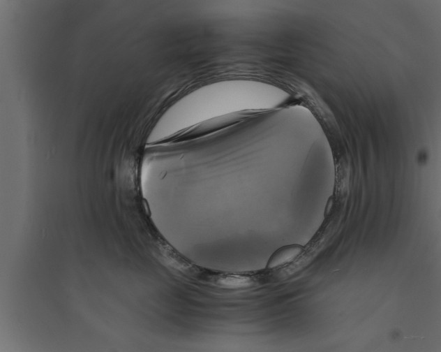 X0000094220669200711241723