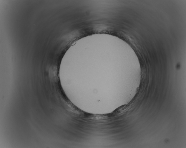 X0000094220670200711241723