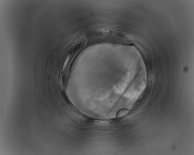 X0000094220671200711241723