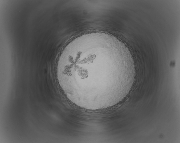 X0000094220672200711241723