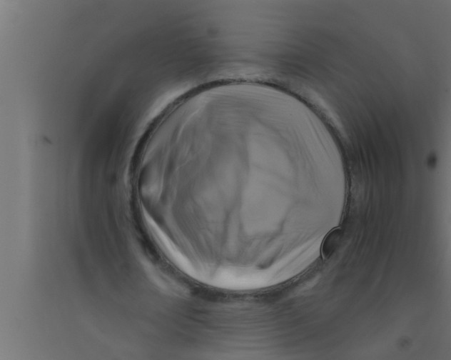 X0000094220674200711241722