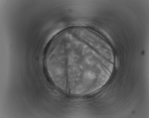 X0000094220675200711241722