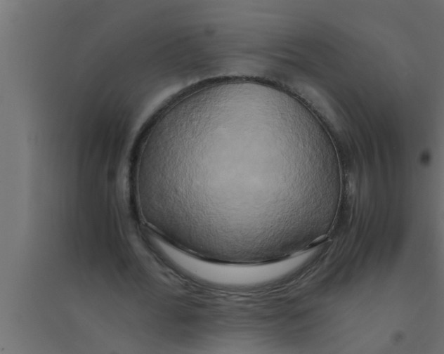 X0000094220676200711241722