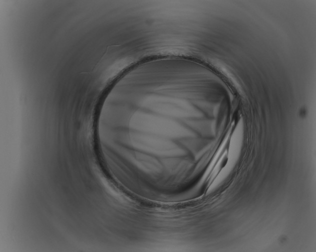 X0000094220677200711241722