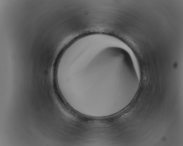 X0000094220678200711241722