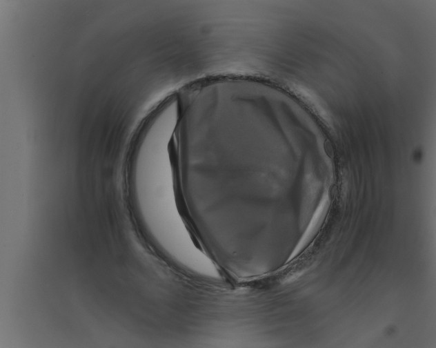 X0000094220680200711241722