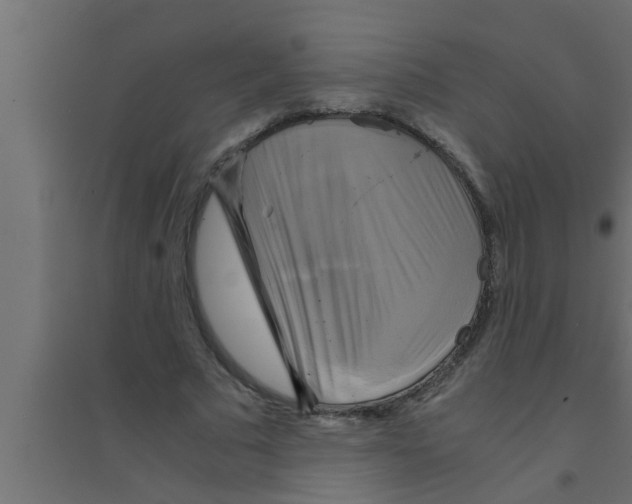 X0000094220681200711241722