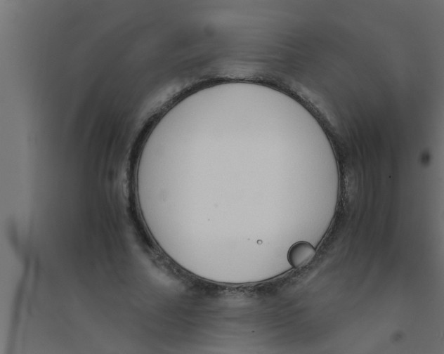 X0000094220682200711241722