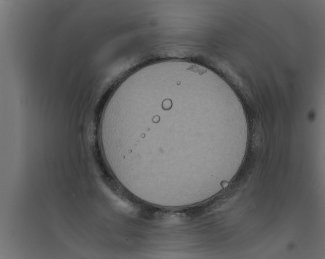 X0000094220683200711241722