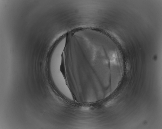 X0000094220684200711241722