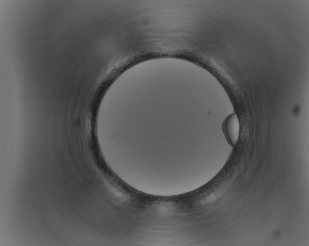 X0000094220685200711241722