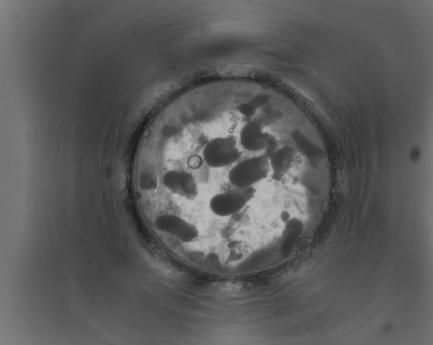 X0000094220687200711241722