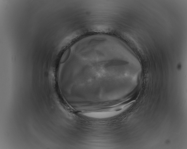 X0000094220688200711241722