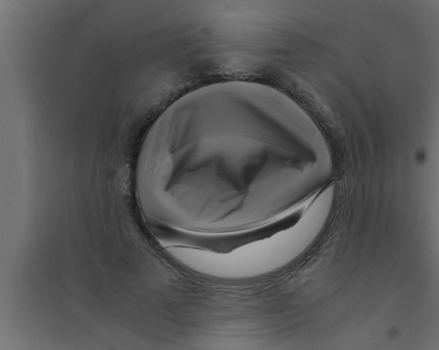 X0000094220689200711241722