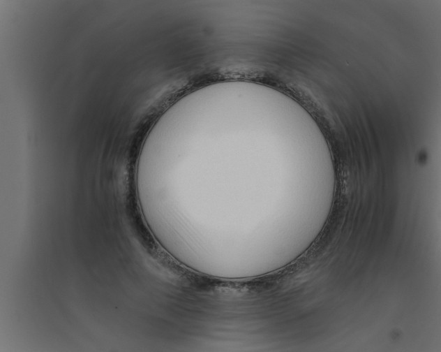 X0000094220690200711241722