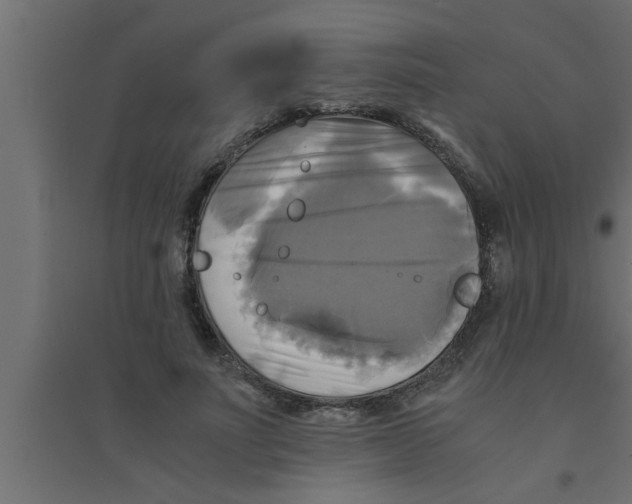 X0000094220691200711241722